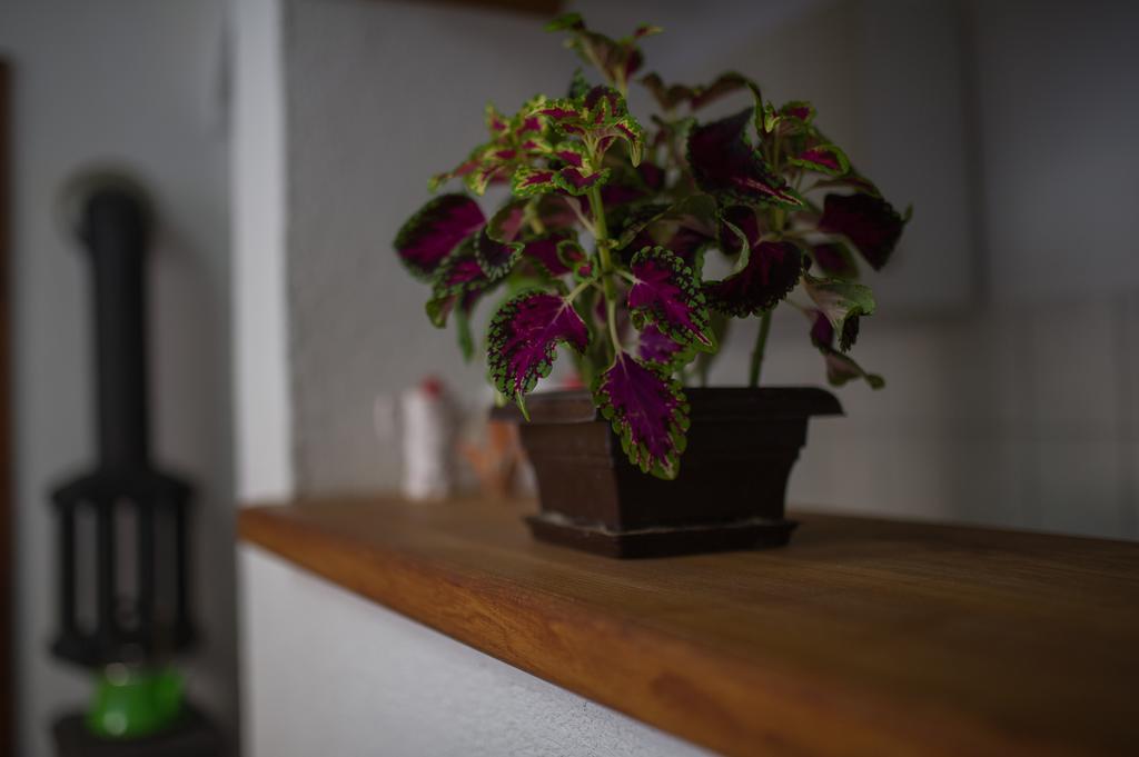 Apartment Raza Konjic Kültér fotó